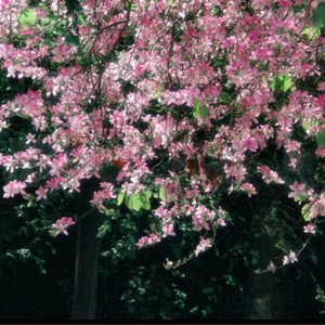 爽⋯躁多水⋯快⋯深点白洁
