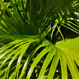 爽⋯躁多水⋯快⋯深点白洁
